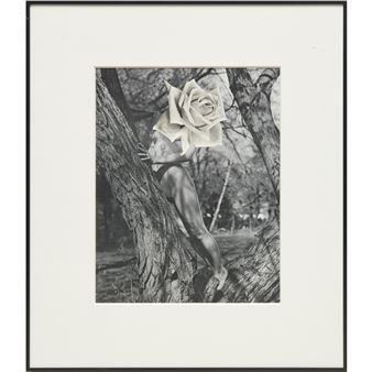 The Goddess Who Wears the Crescent - Linder Sterling