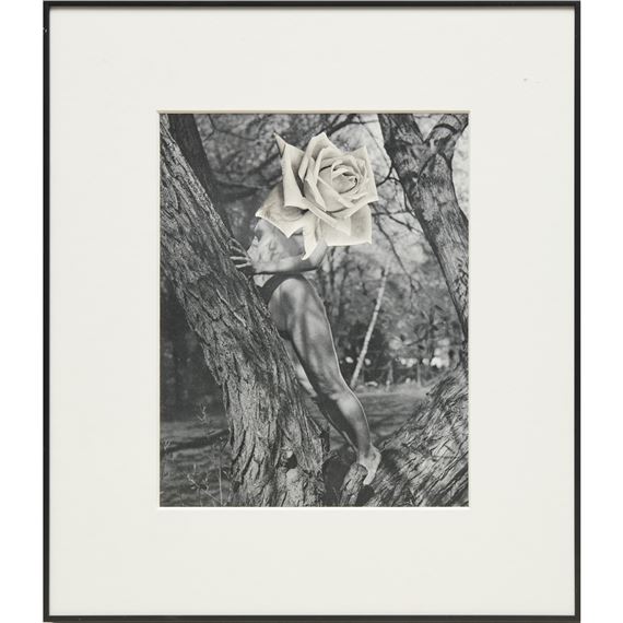 The Goddess Who Wears the Crescent - Linder Sterling