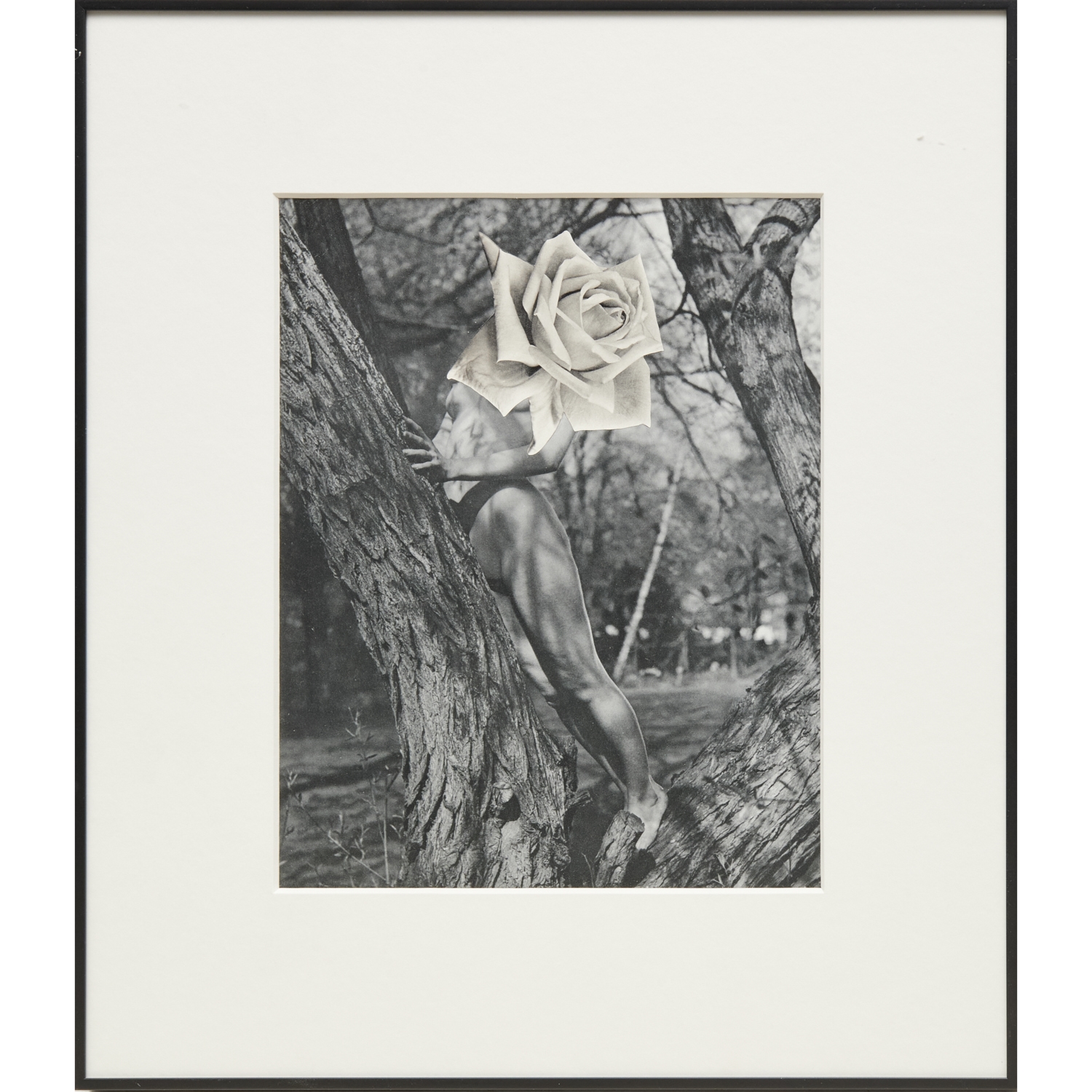 Artwork by Linder Sterling, The Goddess Who Wears the Crescent, Made of paper collage