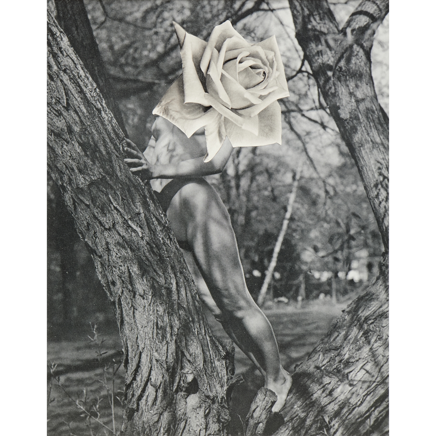 Artwork by Linder Sterling, The Goddess Who Wears the Crescent, Made of paper collage