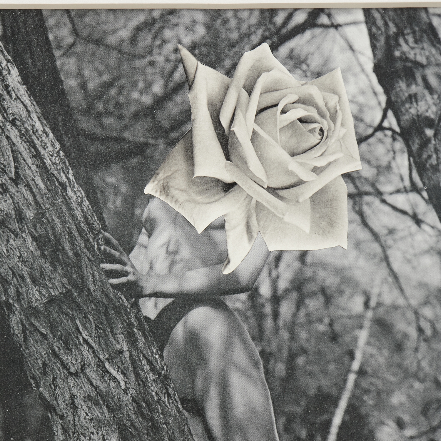 Artwork by Linder Sterling, The Goddess Who Wears the Crescent, Made of paper collage