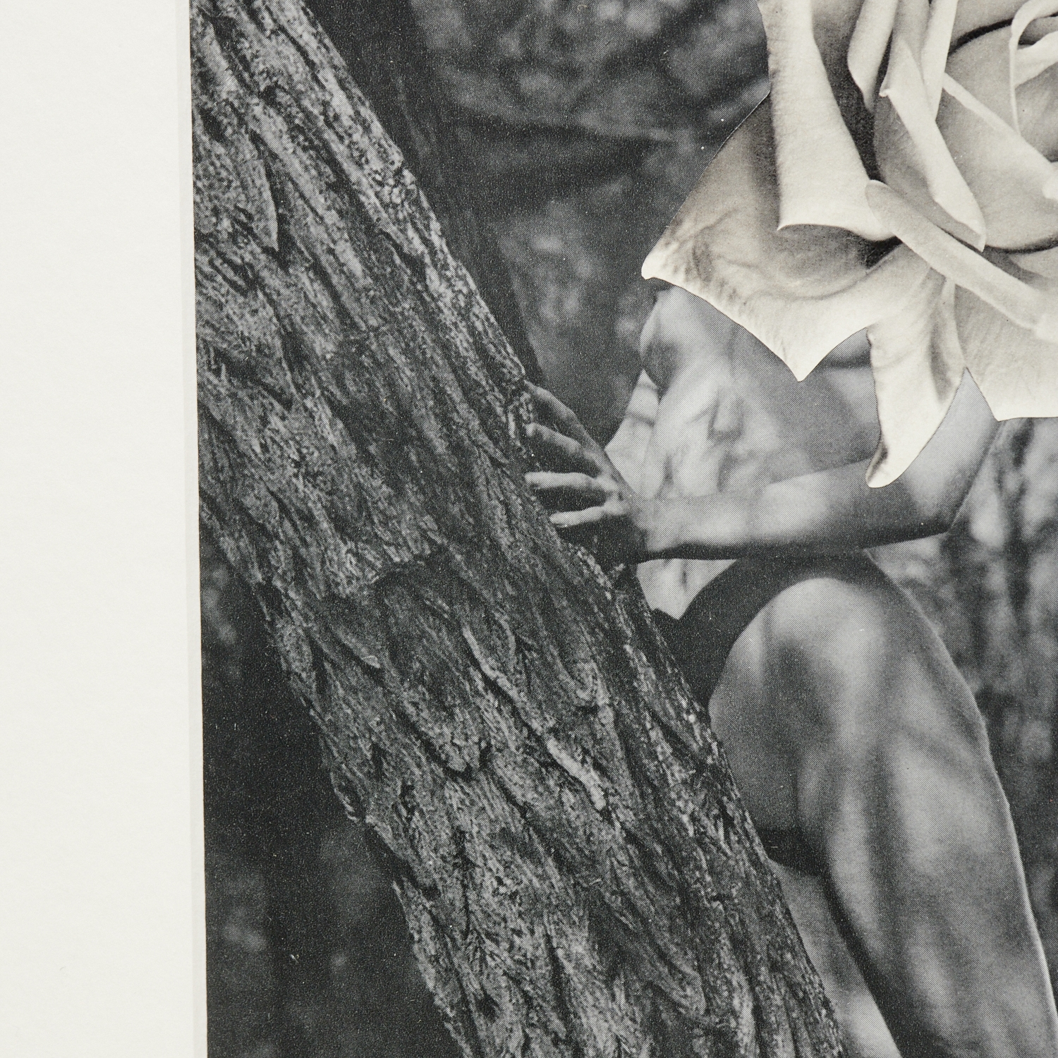 Artwork by Linder Sterling, The Goddess Who Wears the Crescent, Made of paper collage