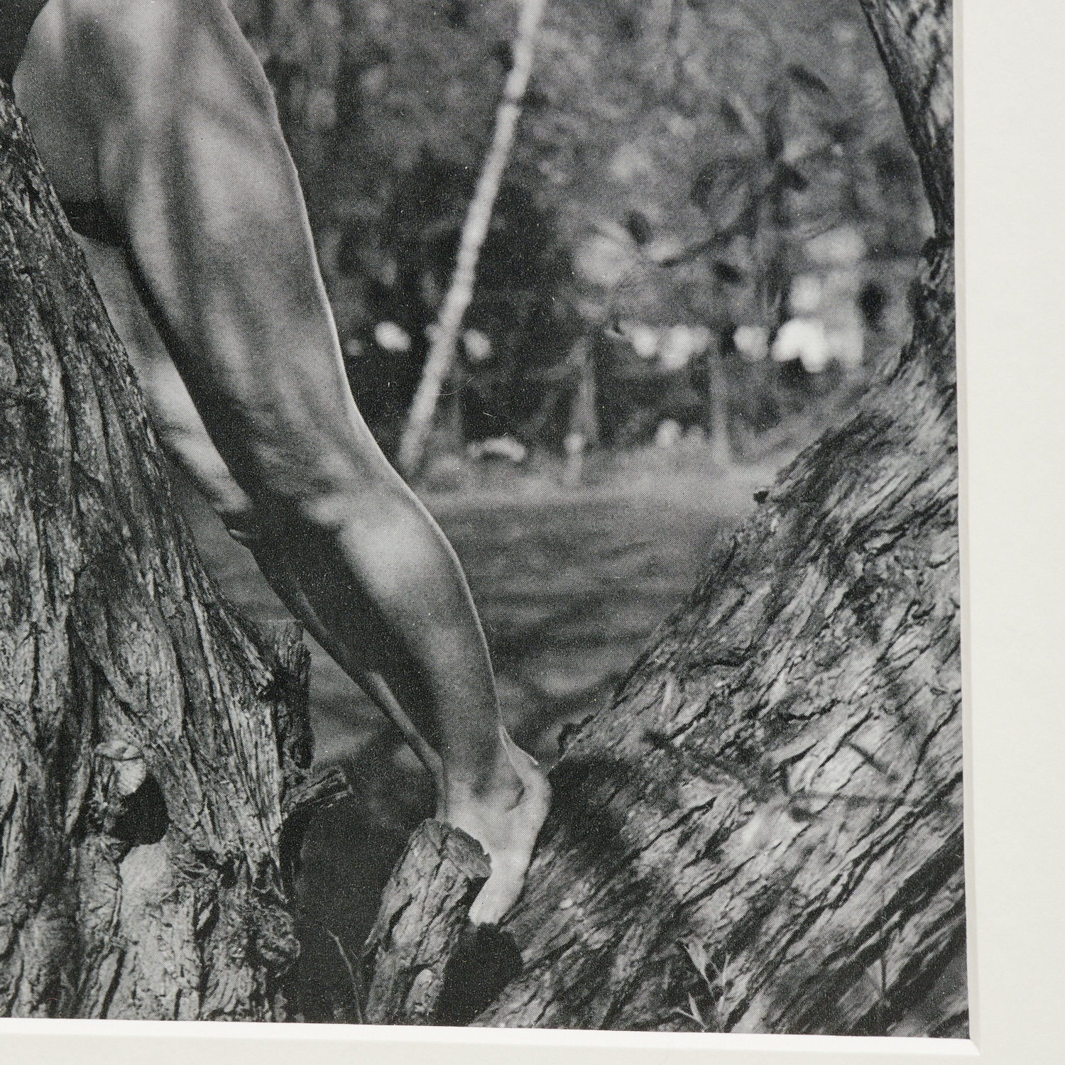 Artwork by Linder Sterling, The Goddess Who Wears the Crescent, Made of paper collage