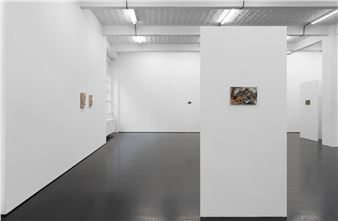 Jannis Marwitz: The Directionality of Fur - Trautwein Herleth