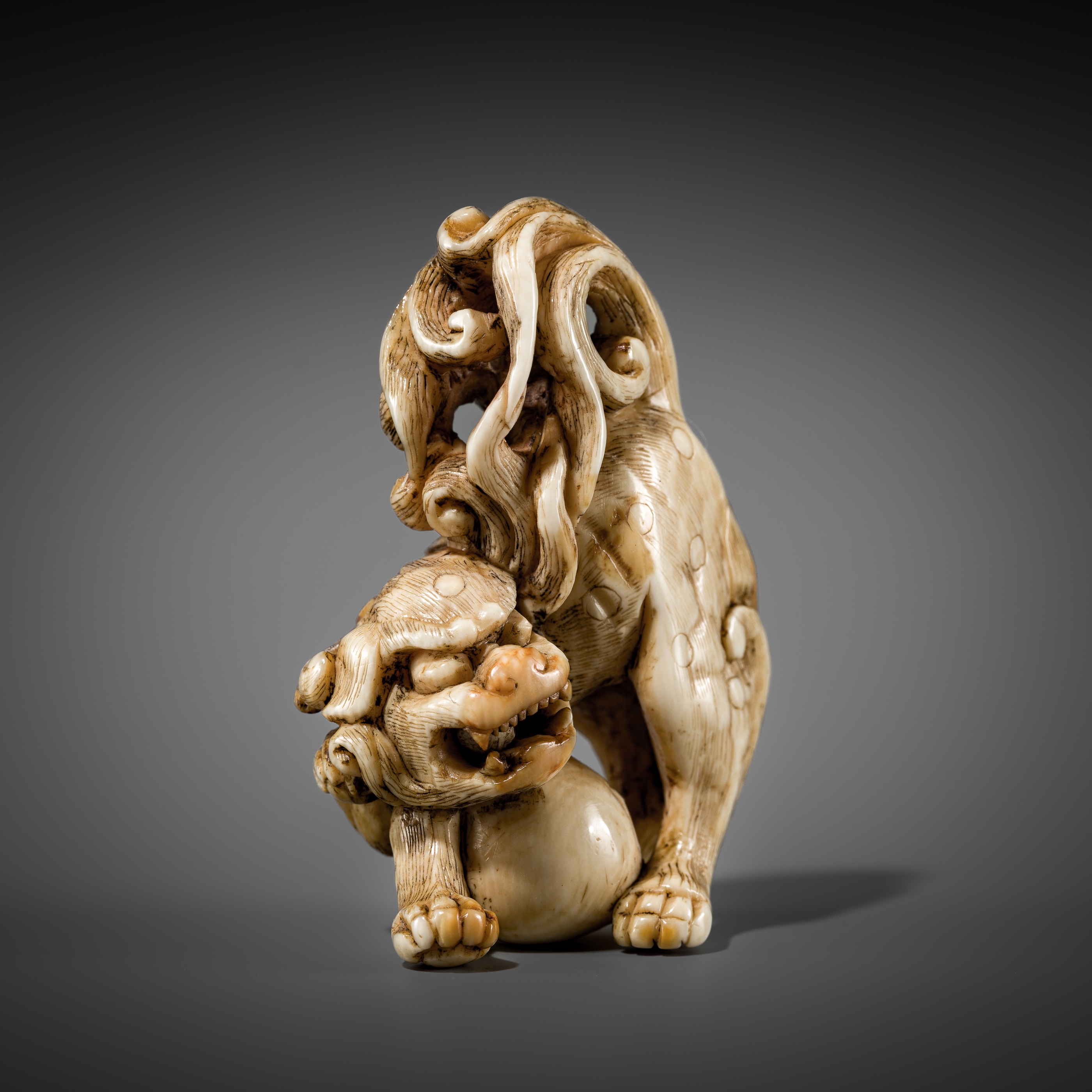 Japanese School, 18th Century | A RARE IVORY NETSUKE OF A SHISHI WITH A ...
