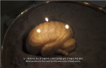 Jiyoung Yoon: Seeing Things the Way We See the Moon - daadgalerie