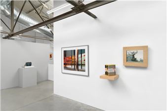 RBG at 50: Photo & Video - Rena Bransten Gallery