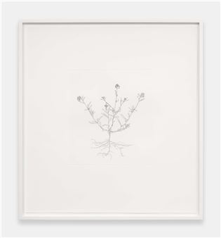 Michael Landy: Look - Hastings Contemporary