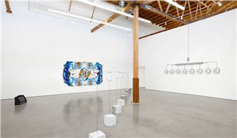 Agustina Woodgate: Instructions for Disappearing Territories - François Ghebaly, Los Angeles (Downtown)