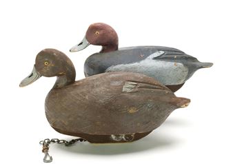 Pair of redheads - Ralph Malpage