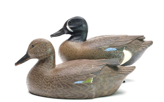 David Schroeder | Pair of blue wing teal | MutualArt
