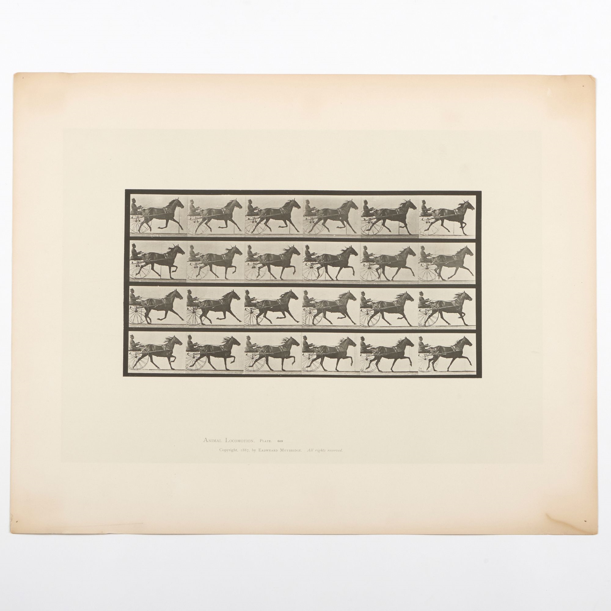 Eadweard Muybridge | Three collotypes on card | MutualArt