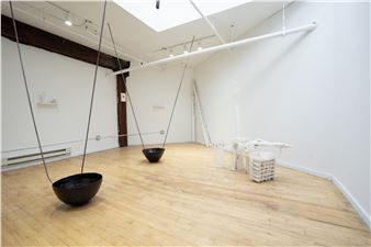 Butterfly Map - Subtitled