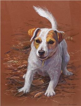 portrait of a Jack Russell - Jennifer Buxton