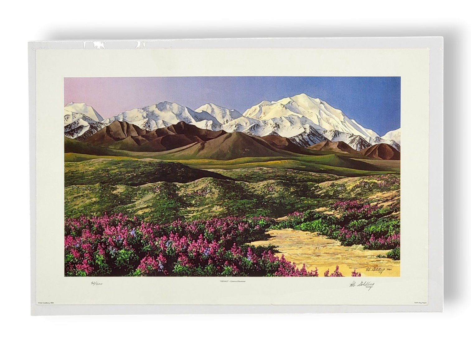 Rob Goldberg | Denali - Colors of Summer | MutualArt