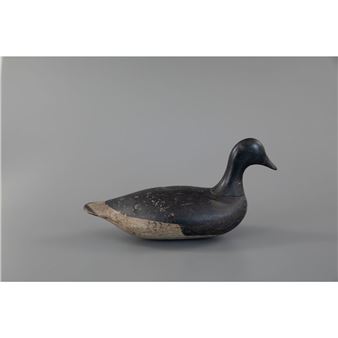 OUTSTANDING SWIMMING BRANT - Smith Clinton Verity