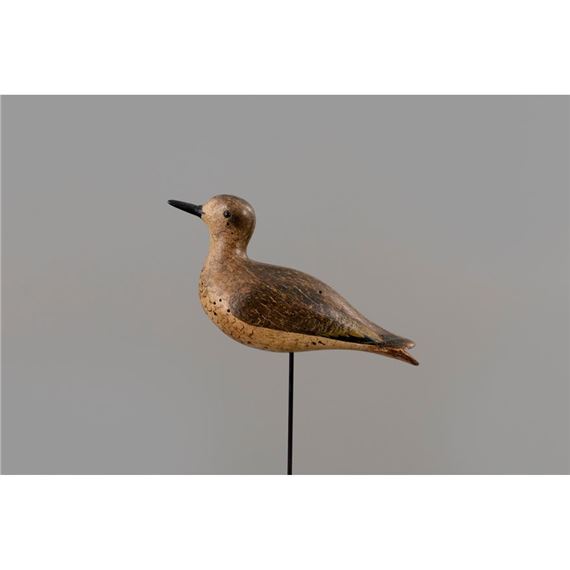 EXCEPTIONAL CALLING GOLDEN PLOVER by John Dilley