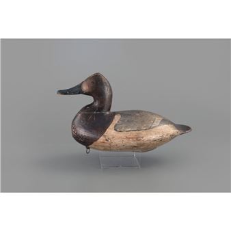 CANVASBACK HEN - William Heverin