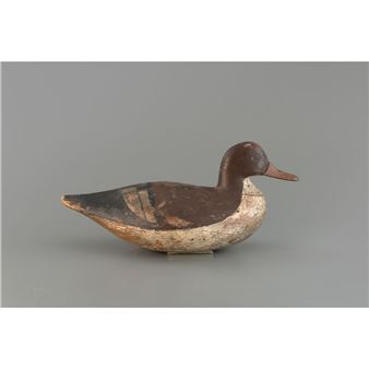 MERGANSER HEN - Smith Clinton Verity