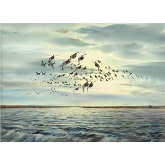 Chasing the Flight - Broadbills - Milton C. Weiler