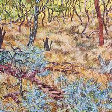 Nat Ward: Beautiful Scrubland (Nail Can Hill) - Manyung Gallery, Mount Eliza