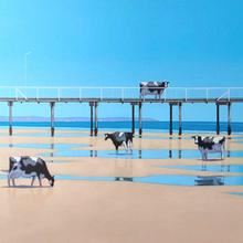 Andrew Baines: The Plight of the Credulous Cow - Manyung Gallery, Malvern