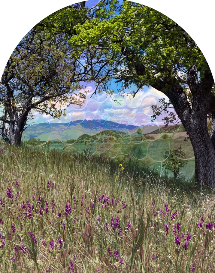 Deconstructing Landscapes at Lilienthal Gallery
