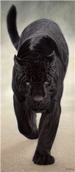 13 Treasures - Jonathan Cooper