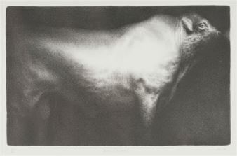 Bull (Sussex - Paul Emsley