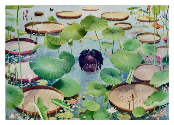 World #26 by Ruud van Empel, Executed in 2008