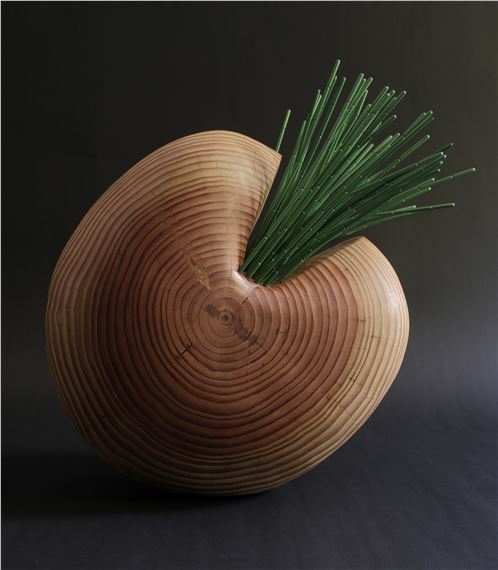 Priyanka Rana: Our Stories Live Underground - Triton Museum of Art