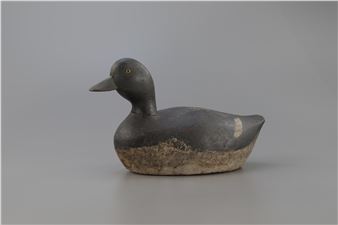 Swimming Bluebill - Al Pitman