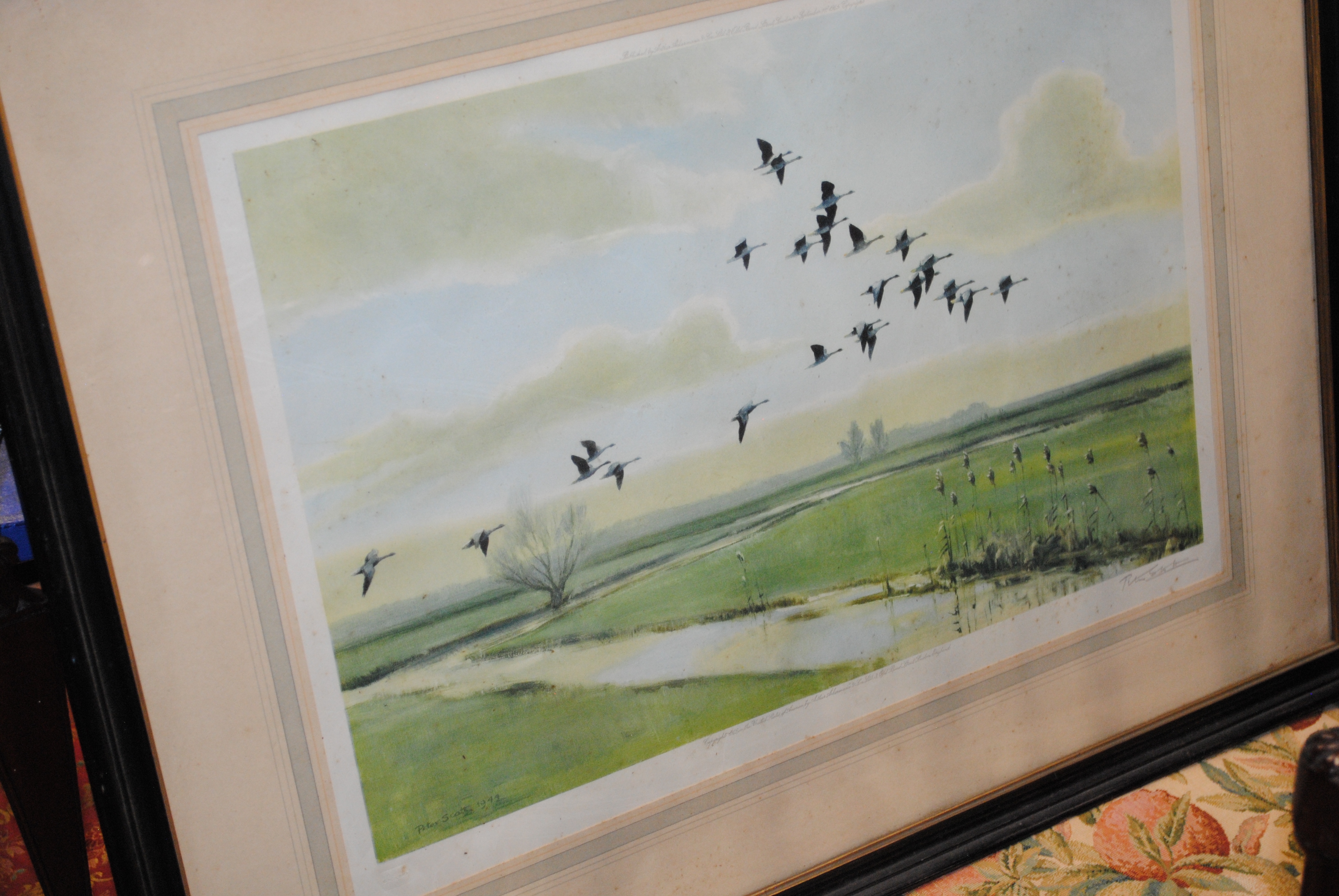 Peter Scott | A pencil signed framed and glazed Peter Scott print ...