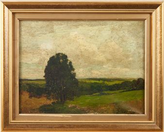 LANDSCAPE - Charles Morgan McIlenney