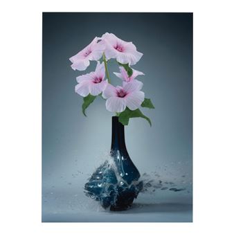 Malva II (from 'Flowervases - Martin Klimas
