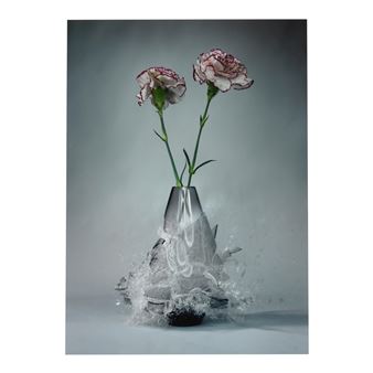 Dianthus II (from 'Flowervases - Martin Klimas