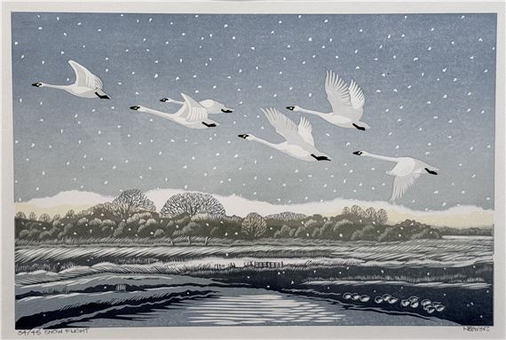 Snow Flight - Niki Bowers