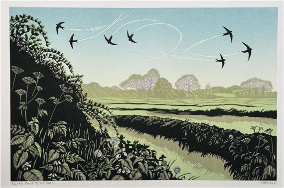 Swifts Return by Niki Bowers