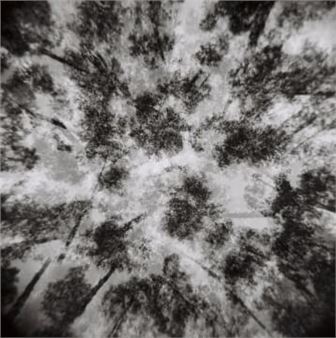 Differently (dis) Orientated 3 - Andre Rose