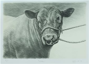 Warren - Angus McDonald