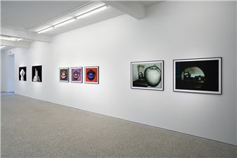 BERG Contemporary Opens Still Life: A Group Exhibition