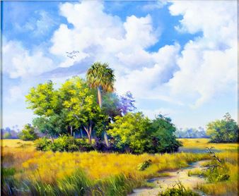 Everglades National Park Landscape, FL - Magi Day