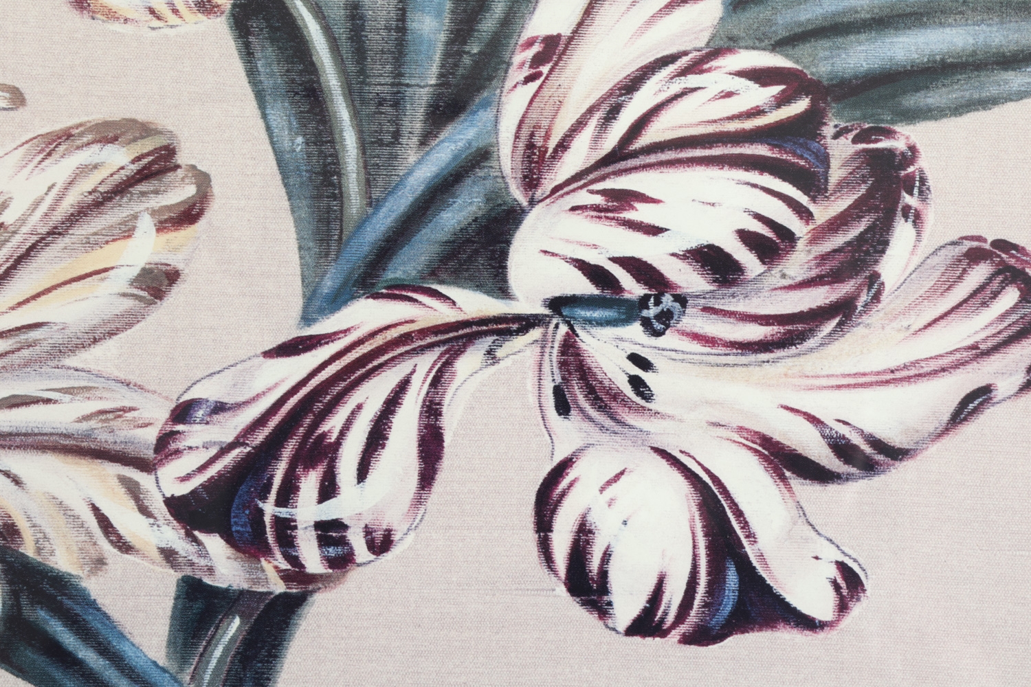 Patzi Craven | PAIR OF PATZI CRAVEN BOTANICAL PRINTS 20TH C | MutualArt