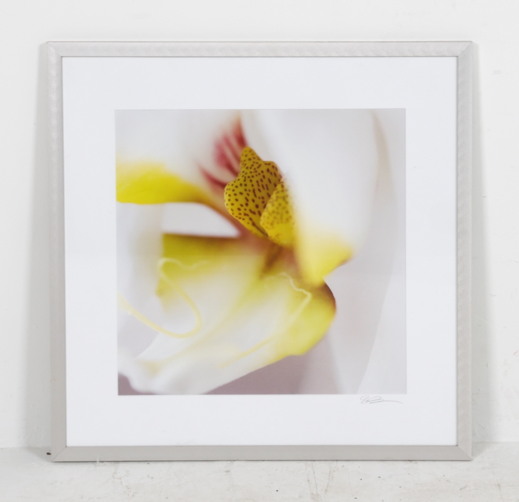 Artwork by Sebastian Musial, SEBASTIAN MUSIAL ORCHID PHOTOGRAPHY PRINT