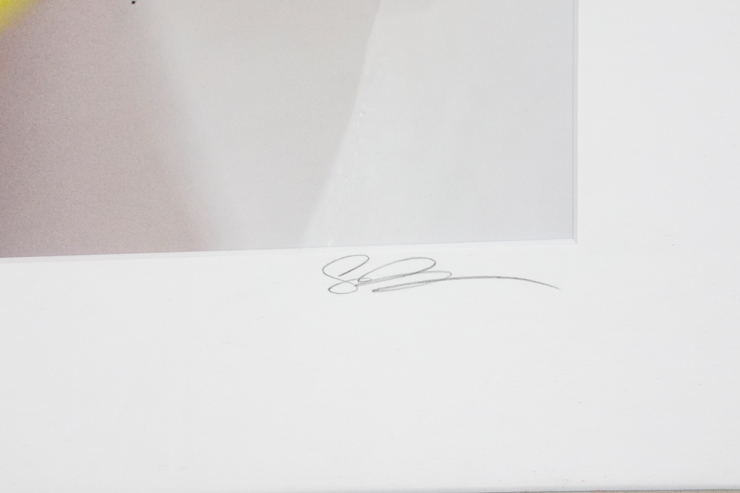 Artwork by Sebastian Musial, SEBASTIAN MUSIAL ORCHID PHOTOGRAPHY PRINT