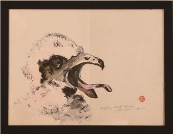 Kay Moser. Fledgling Marsh Harrier - Kay Moser