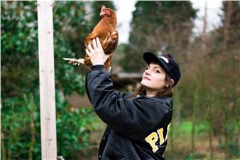 Kati Heck - Tim Van Laere Gallery, Rome