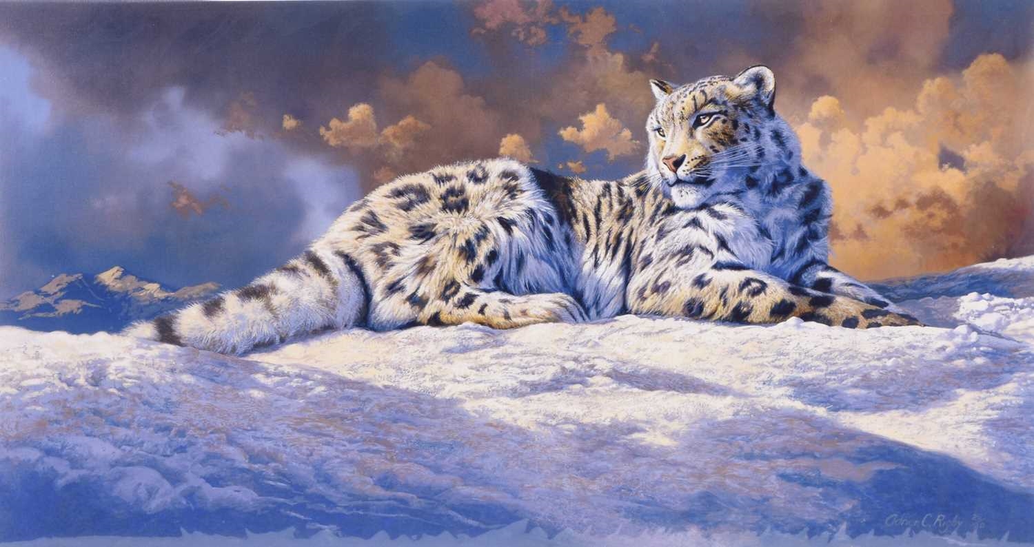 Adrian Rigby | Wildlife Prints | MutualArt