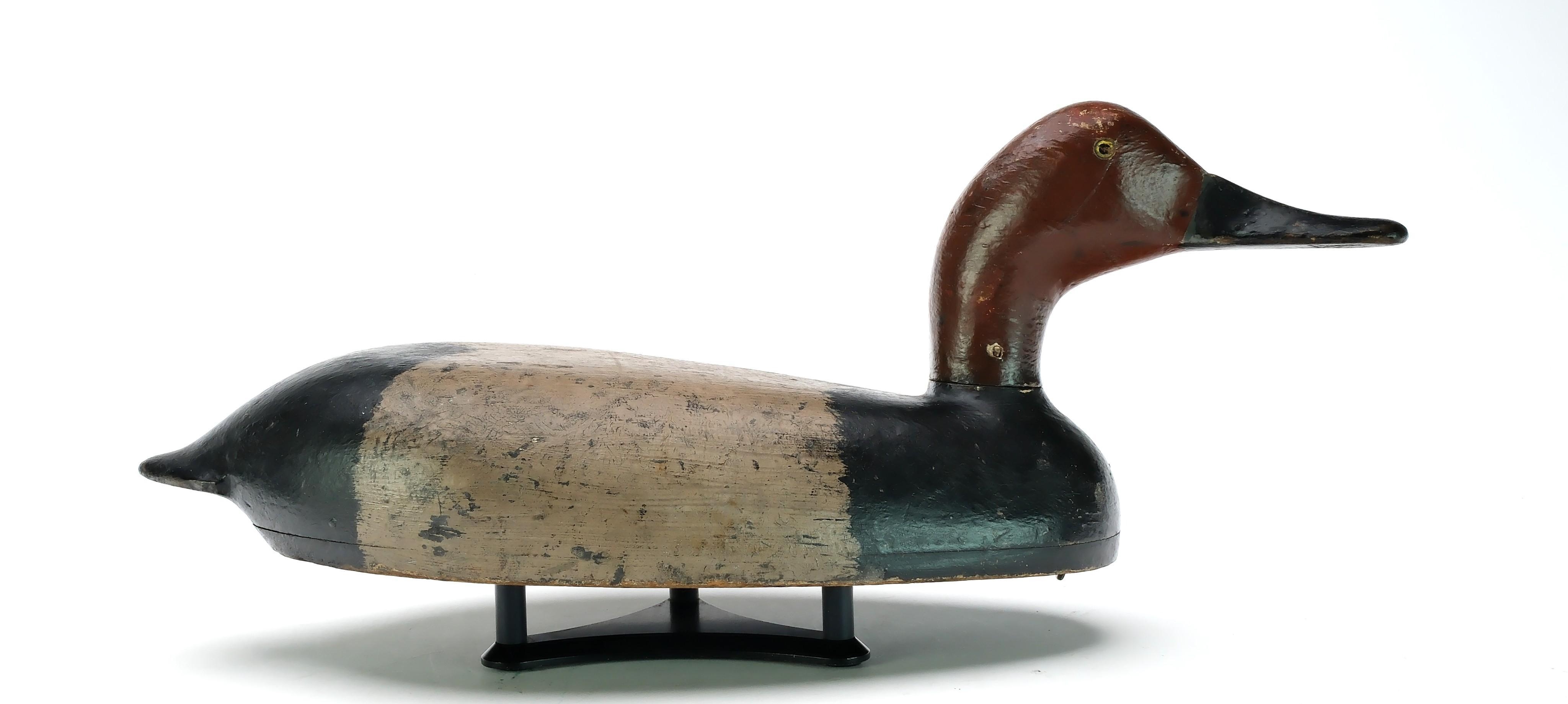 Artwork by Tobin Meldrum, Redhead, Made of hollow carved with carved eyes, A carved in underside of bill