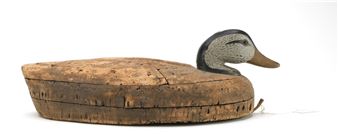 Cork black duck - James Ketcham